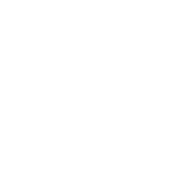 Fiziksel Etkinlikler